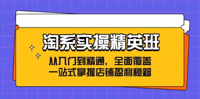 （12276期）淘系实操精英班：从入门到精通，全面覆盖，一站式掌握店铺盈利秘籍-立业有术