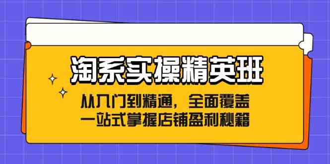 淘系实操精英班：从入门到精通，全面覆盖，一站式掌握店铺盈利秘籍-立业有术