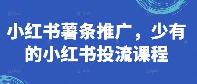 小红书薯条推广，少有的小红书投流课程-立业有术