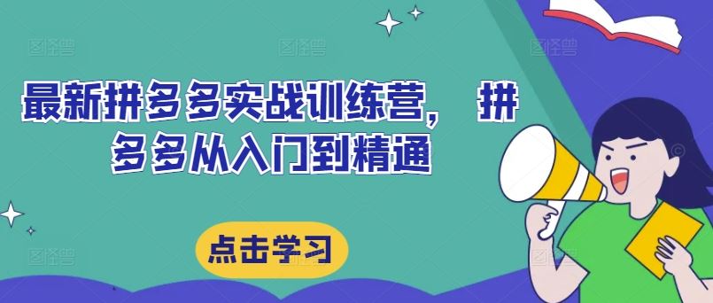 最新拼多多实战训练营， 拼多多从入门到精通-立业有术