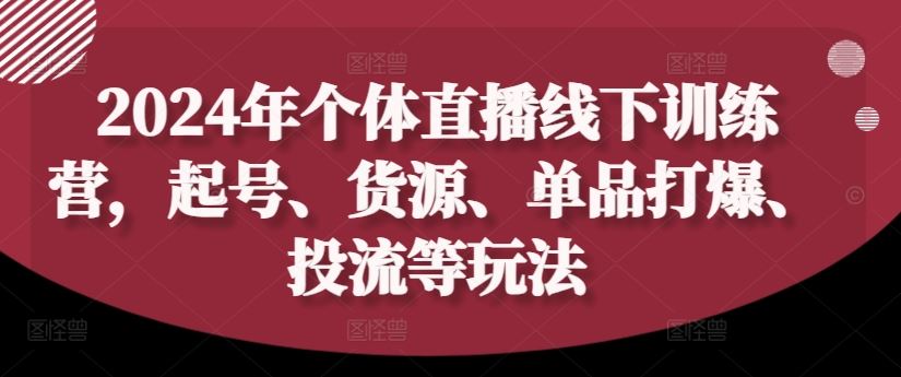 2024年个体直播训练营，起号、货源、单品打爆、投流等玩法-立业有术