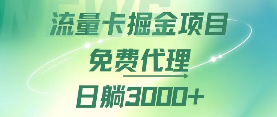 （12321期）流量卡掘金代理，日躺赚3000+，变现暴力，多种推广途径-立业有术