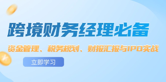 （12323期）跨境 财务经理必备：资金管理、税务规划、财报汇报与IPO实战-立业有术