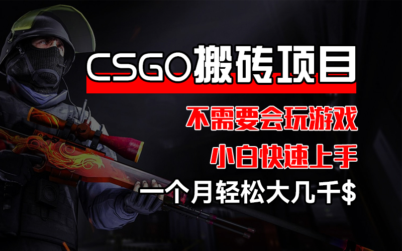 （12332期）CSGO 装备搬砖项目，操作简单，不需要会玩游戏，小白也能快速上手，一…-立业有术