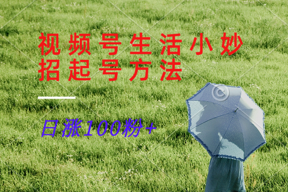 视频号生活小妙招分享赛道， 起号涨粉新方法，日涨100粉-立业有术
