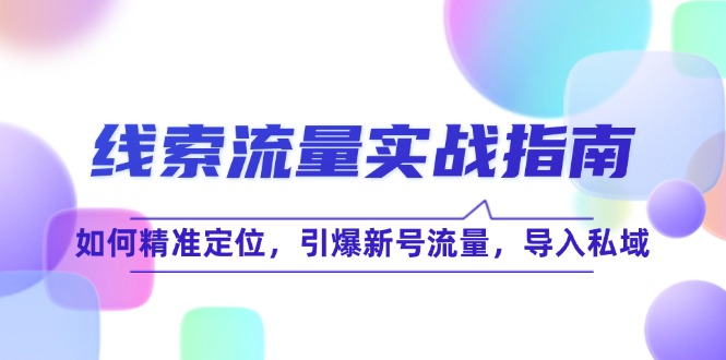 （12382期）线 索 流 量-实战指南：如何精准定位，引爆新号流量，导入私域-立业有术