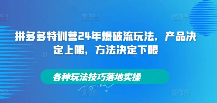 拼多多特训营24年爆破流玩法，产品决定上限，方法决定下限，各种玩法技巧落地实操-立业有术