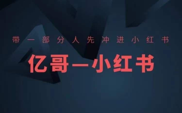 ​​带一部分人先冲进小红书，小红书开店、选品、爆款裂变-立业有术