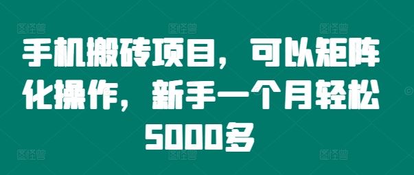 手机搬砖项目，可以矩阵化操作，新手一个月轻松5000多-立业有术