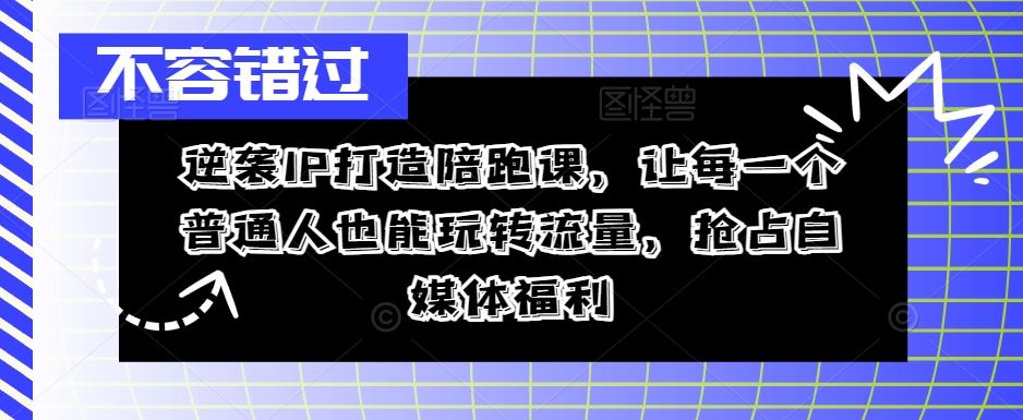 逆袭IP打造陪跑课，让每一个普通人也能玩转流量，抢占自媒体福利-立业有术