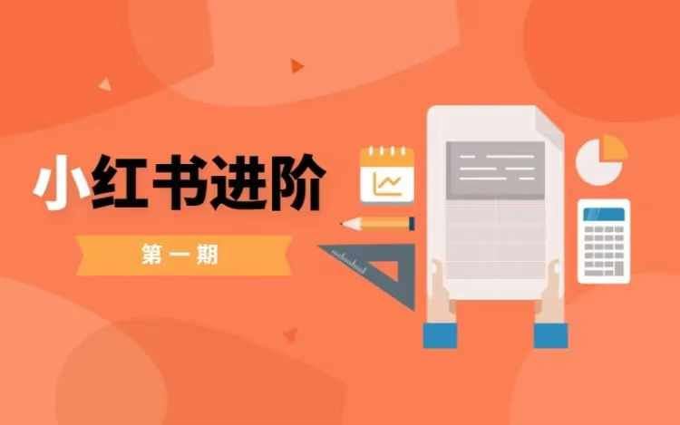 小红书进阶篇，零基础小白实战课，普通人变现的课程-立业有术