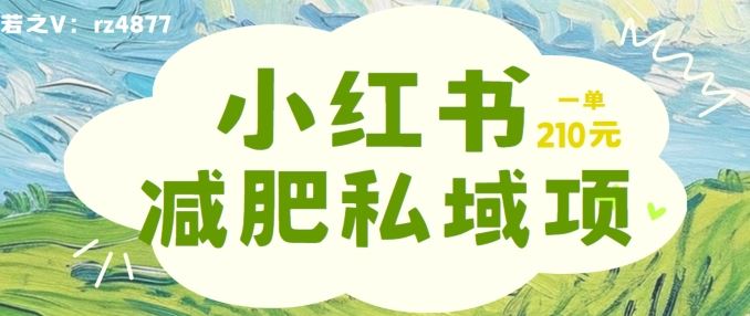 小红书减肥粉，私域变现项目，一单就达210元，小白也能轻松上手【揭秘】-立业有术