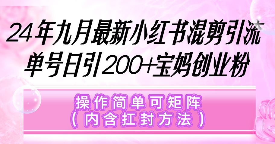 （12530期）小红书混剪引流，单号日引200+宝妈创业粉，操作简单可矩阵（内含扛封…-立业有术