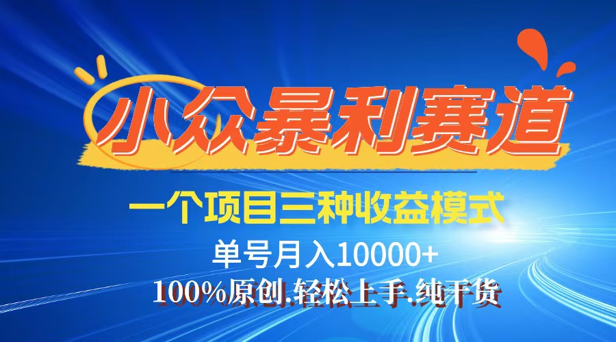 （12579期）【老人言】-视频号爆火赛道，三种变现方式，0粉新号调调爆款-立业有术