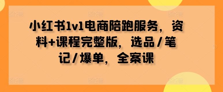 小红书1v1电商陪跑服务，资料+课程完整版，选品/笔记/爆单，全案课-立业有术