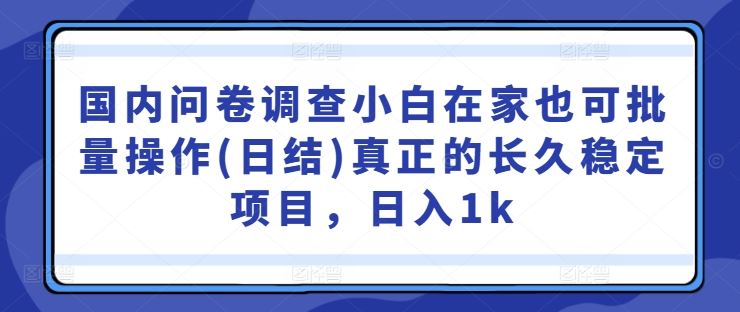 国内问卷调查小白在家也可批量操作(日结)真正的长久稳定项目，日入1k【揭秘】-立业有术