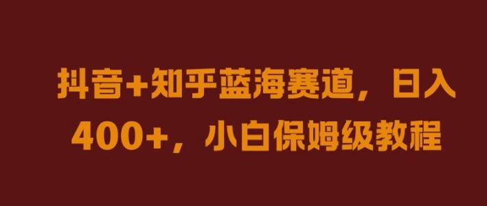 抖音+知乎蓝海赛道，日入几张，小白保姆级教程【揭秘】-立业有术