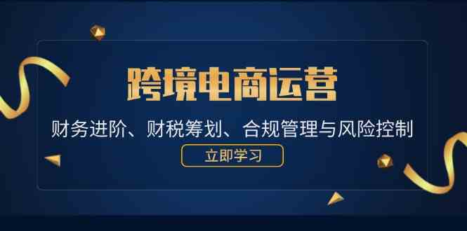 跨境电商运营：财务进阶、财税筹划、合规管理与风险控制-立业有术