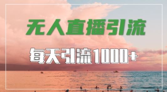 抖音快手视频号全平台通用，无人直播引流法，超暴力引流1000+高质量精准创业粉【揭秘】-立业有术