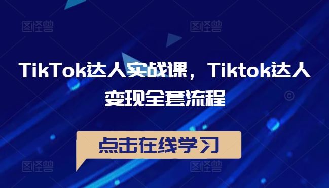 TikTok达人实战课，Tiktok达人变现全套流程-立业有术