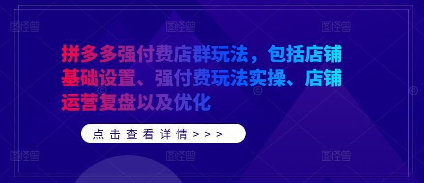 拼多多强付费店群玩法，包括店铺基础设置、强付费玩法实操、店铺运营复盘以及优化-立业有术