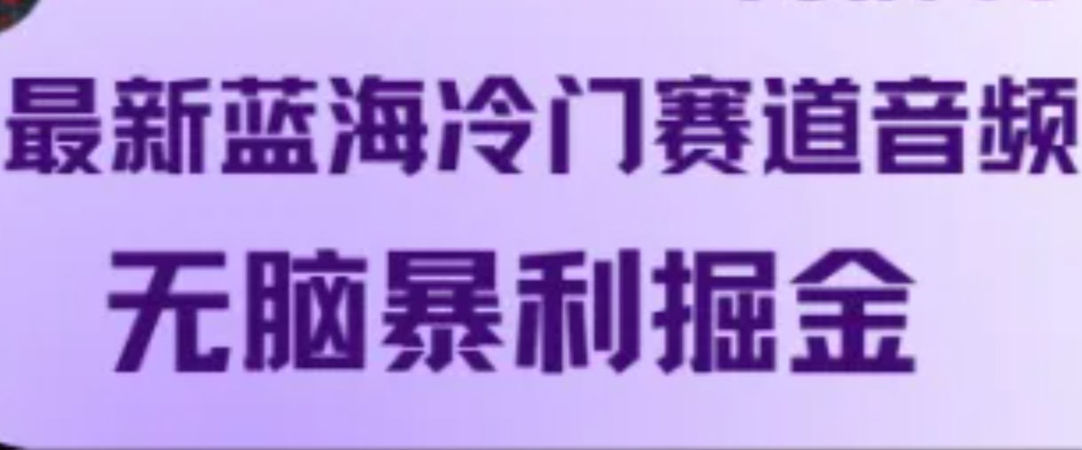 最新蓝海冷门赛道音频，无脑暴利掘金-立业有术