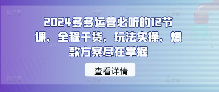 2024多多运营必听的12节课，全程干货，玩法实操，爆款方案尽在掌握-立业有术