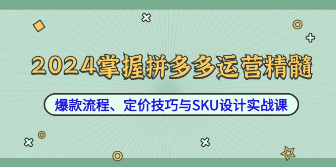 （12703期）2024掌握拼多多运营精髓：爆款流程、定价技巧与SKU设计实战课-立业有术