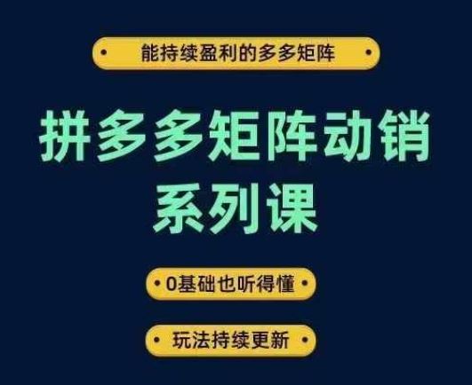 拼多多矩阵动销系列课，能持续盈利的多多矩阵，0基础也听得懂，玩法持续更新-立业有术