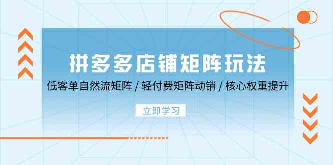 拼多多店铺矩阵玩法：低客单自然流矩阵 / 轻付费矩阵 动销 / 核心权重提升-立业有术