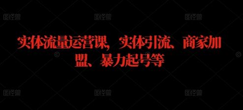 实体流量运营课，实体引流、商家加盟、暴力起号等-立业有术