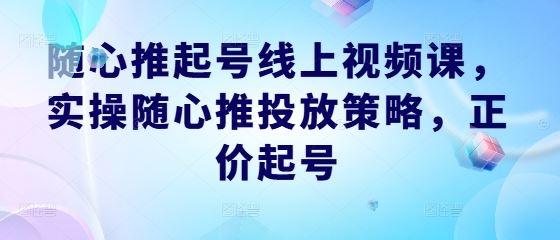 随心推起号线上视频课，实操随心推投放策略，正价起号-立业有术