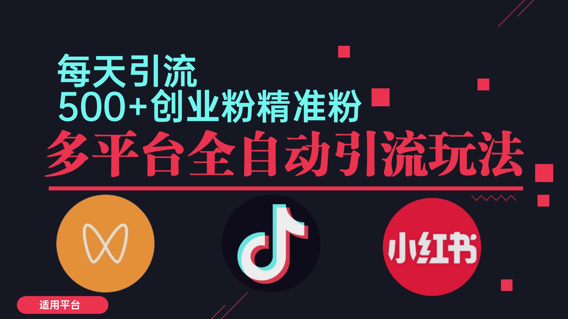 （12765期）小红书抖音视频号截流自热全平台引流打法，全自动引流【日引2000+精准…-立业有术