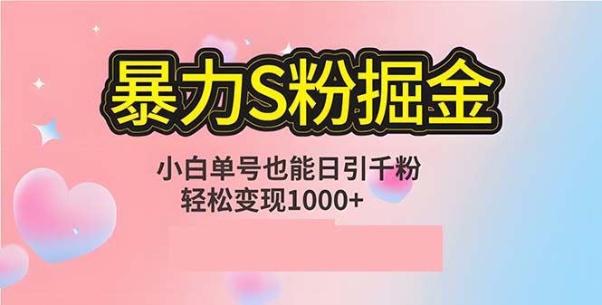 （12778期）单人单机日引千粉，变现1000+，S粉流量掘金计划攻略-立业有术