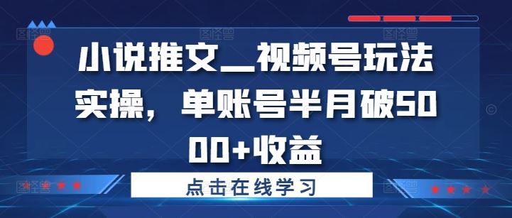 小说推文—视频号玩法实操，单账号半月破5000+收益-立业有术