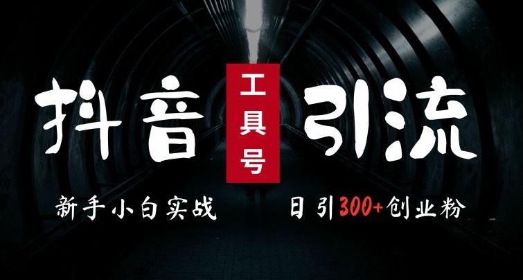 2024最新抖音工具号引流玩法，高效日引300+创业粉，当天变现5k，小白也可成为实战高手-立业有术