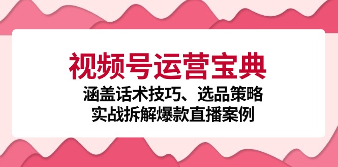 视频号运营宝典：涵盖话术技巧、选品策略、实战拆解爆款直播案例-立业有术