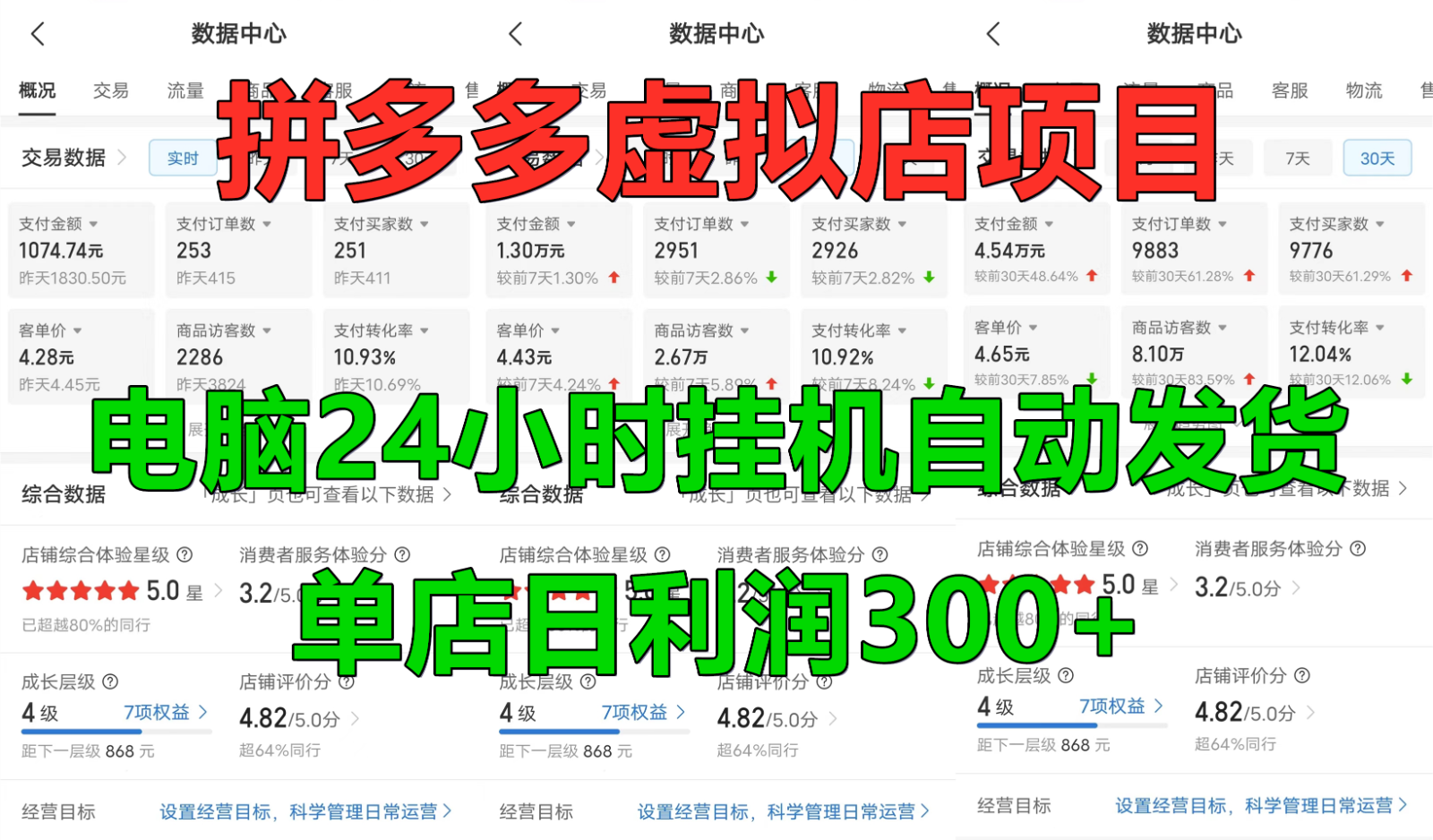 拼多多虚拟店铺项目，电脑挂机自动发货，单店日利润300+-立业有术