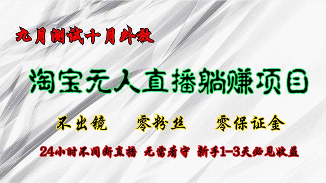 （12862期）淘宝无人直播最新玩法，九月测试十月外放，不出镜零粉丝零保证金，24小…-立业有术