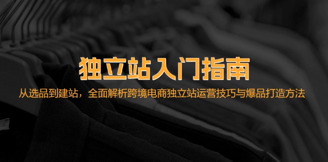 （12882期）独立站入门指南：从选品到建站，全面解析跨境电商独立站运营技巧与爆品…-立业有术