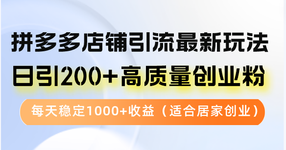 （12893期）拼多多店铺引流最新玩法，日引200+高质量创业粉，每天稳定1000+收益（…-立业有术