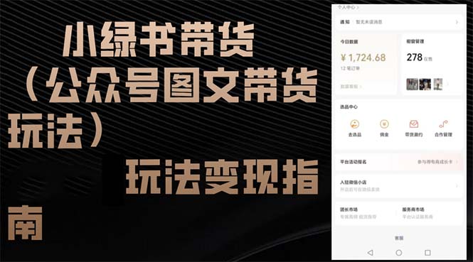 （12902期）小绿书带货（公众号图文带货玩法）玩法变现指南-立业有术