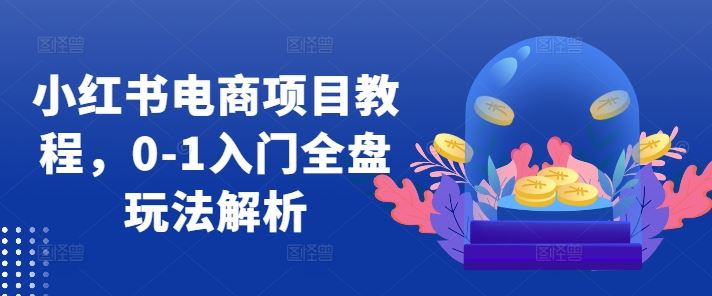 小红书电商项目教程，0-1入门全盘玩法解析-立业有术