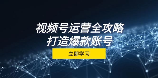 （12912期）视频号运营全攻略，从定位到成交一站式学习，视频号核心秘诀，打造爆款…-立业有术