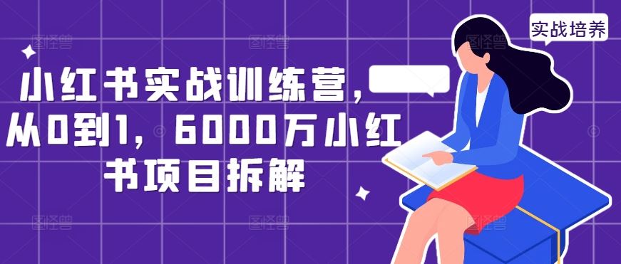 小红书实战训练营，从0到1，6000万小红书项目拆解-立业有术
