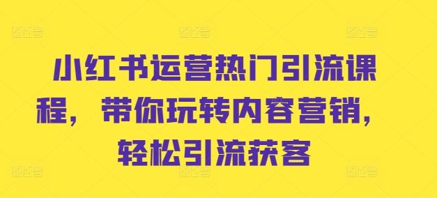 小红书运营热门引流课程，带你玩转内容营销，轻松引流获客-立业有术