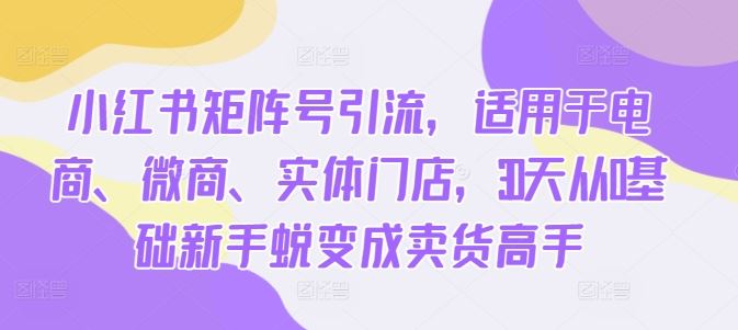 小红书矩阵号引流，适用于电商、微商、实体门店，30天从0基础新手蜕变成卖货高手-立业有术