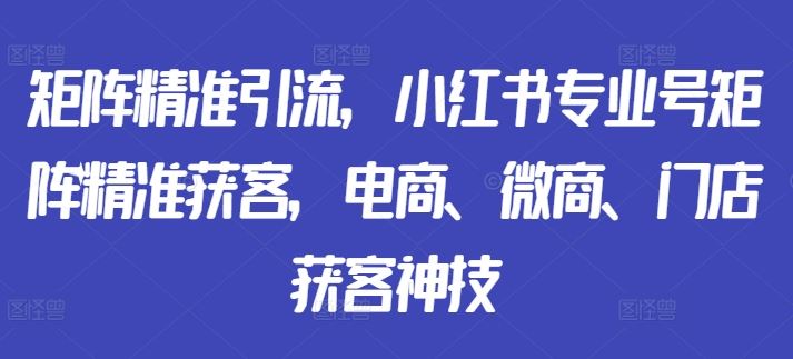 矩阵精准引流，小红书专业号矩阵精准获客，电商、微商、门店获客神技-立业有术
