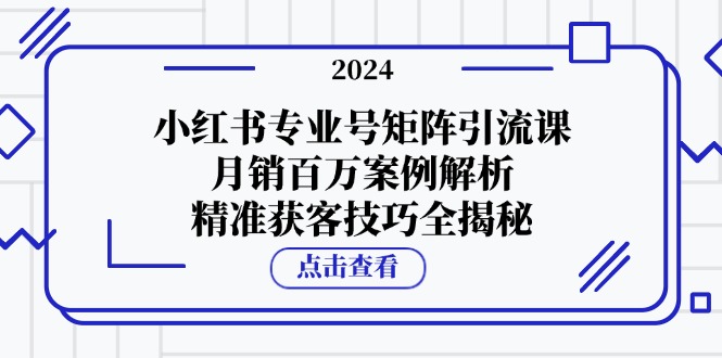 小红书专业号矩阵引流课，月销百万案例解析，精准获客技巧全揭秘-立业有术