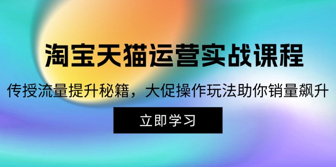 （12959期）淘宝&天猫运营实战课程，传授流量提升秘籍，大促操作玩法助你销量飙升-立业有术